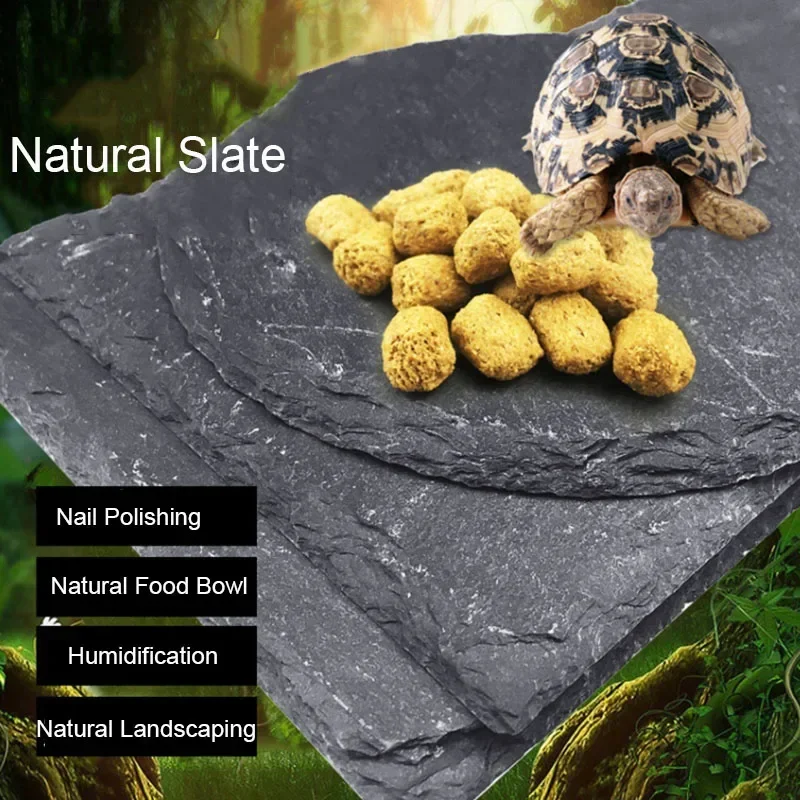 Aquarium Fish Pot - ชามอาหารสัตว์เลี้ยงสัตว์เลื้อยคลานหินชนวนธรรมชาติกาน้ำอาหารประเภทสัตว์เลื้อยคลานเต่าแมงป่อง