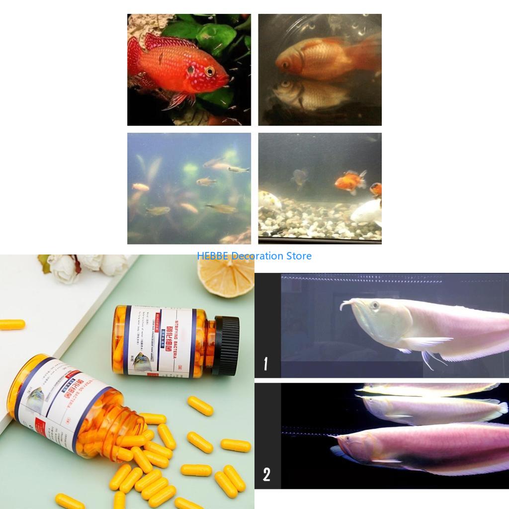 Aquarium Fish Pot - ชุดหินเรืองแสง 300 ชิ้น, ขนาด 0.9-1.5 ซม.,
