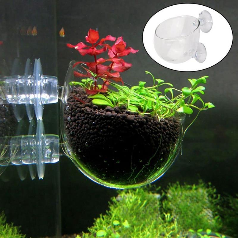 Aquarium Fish Pot - ตกแต่งตู้ปลาถ้วยหม้ออะคริลิคน้ําถ้วยผู้ถือดูดปลูกถ้วย Aquarium อุปกรณ์เสริม
