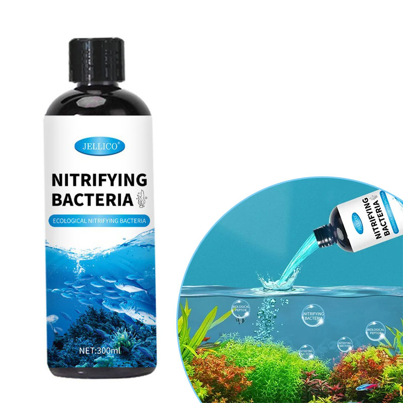 Aquarium Fish Medicine - Nitrifying Bacteria Liquid Fish Tank เครื่องกรองน้ํา