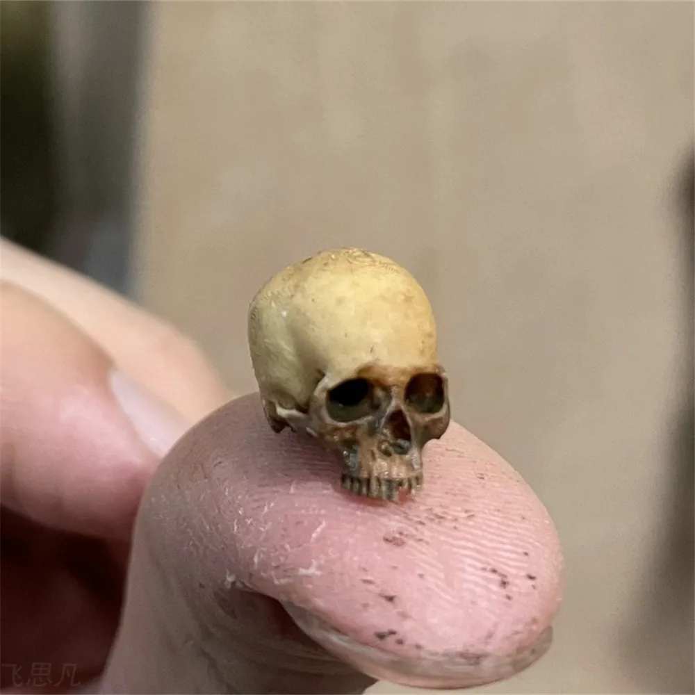 Aquarium Fish Buy - Mini Skull คุณภาพสูง Miniature สําหรับตกแต่งบ้านฮาโลวีนตุ๊กตาพืชตกแต่งถังปลา