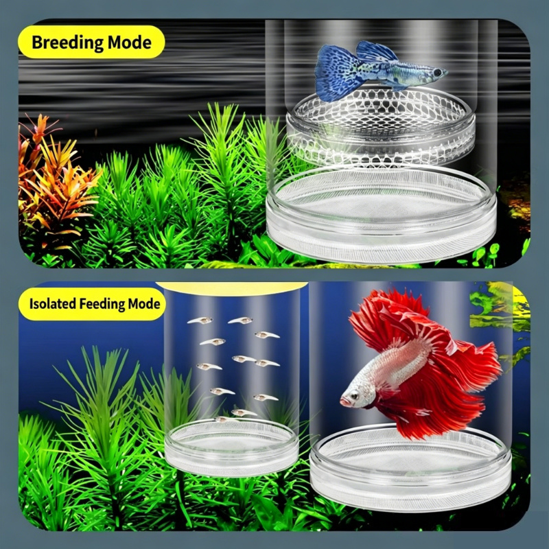 Aquarium Fish Medicine - กล่องเพาะพันธุ์ปลาแบบโปร่งใสลอยน้ำ, กล่องแยกปลาอเนกประสงค์สำหรับกัปปี้ ซีบร้า เบต้า ฟราย อุปกรณ์แยกปลา