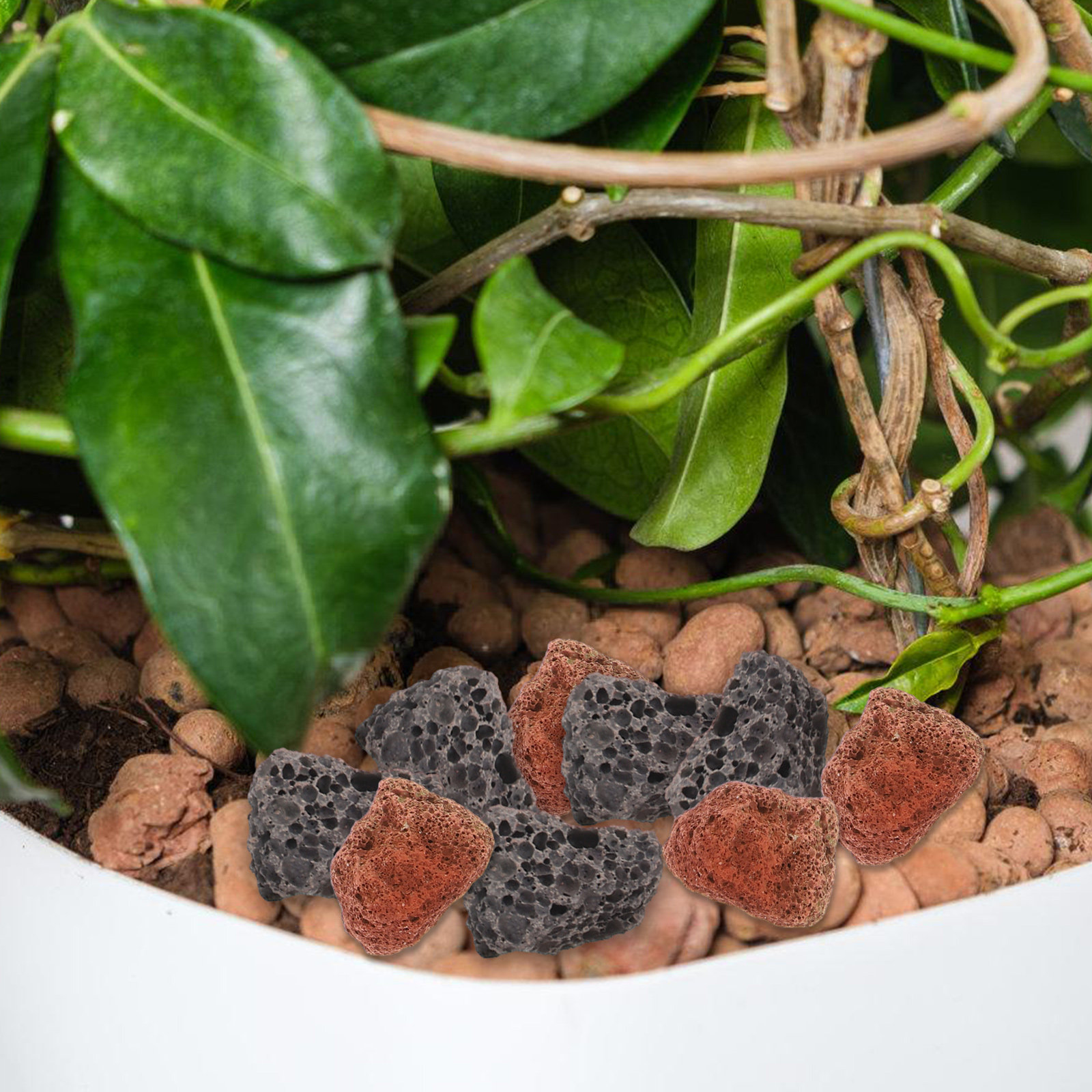 1 ชุดหินตกแต่งกรวดตู้ปลาอุปกรณ - Aquarium Decoration Rock บทวิจารณ์และราคา