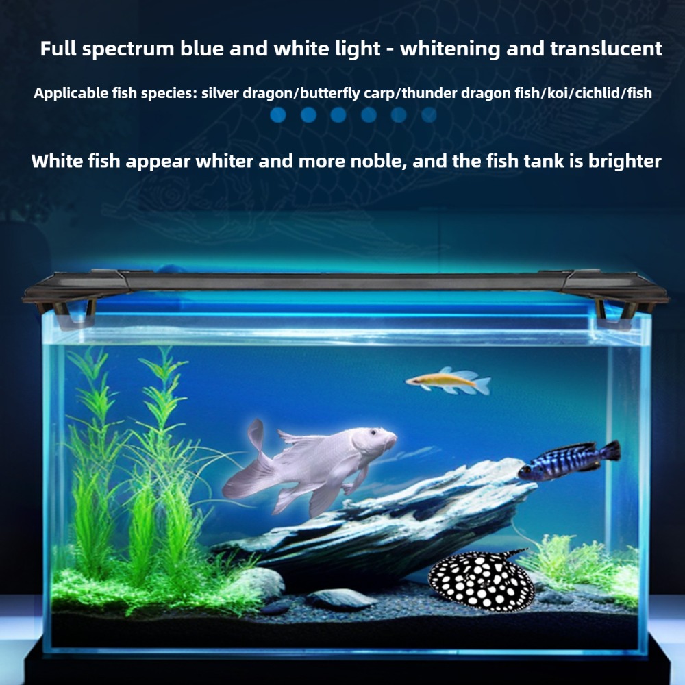 ไฟ LED สำหรับตู้ปลา ขนาด 2 ฟุต - Aquarium Fish Parrot บทวิจารณ์และราคา