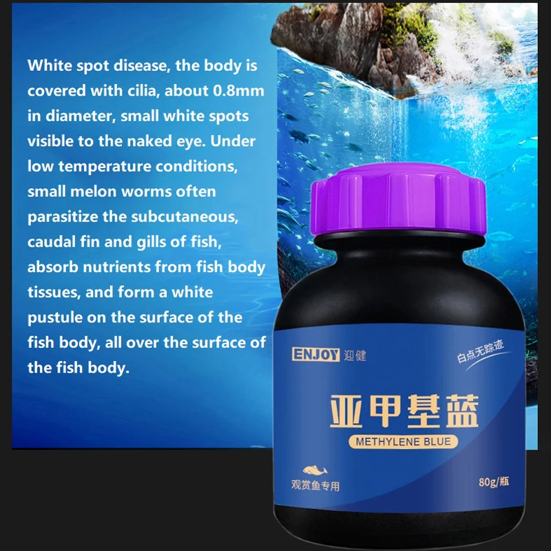 ปลาสวยงามสีฟ้า Methylene สำหรั - Aquarium Fish Parrot บทวิจารณ์และราคา