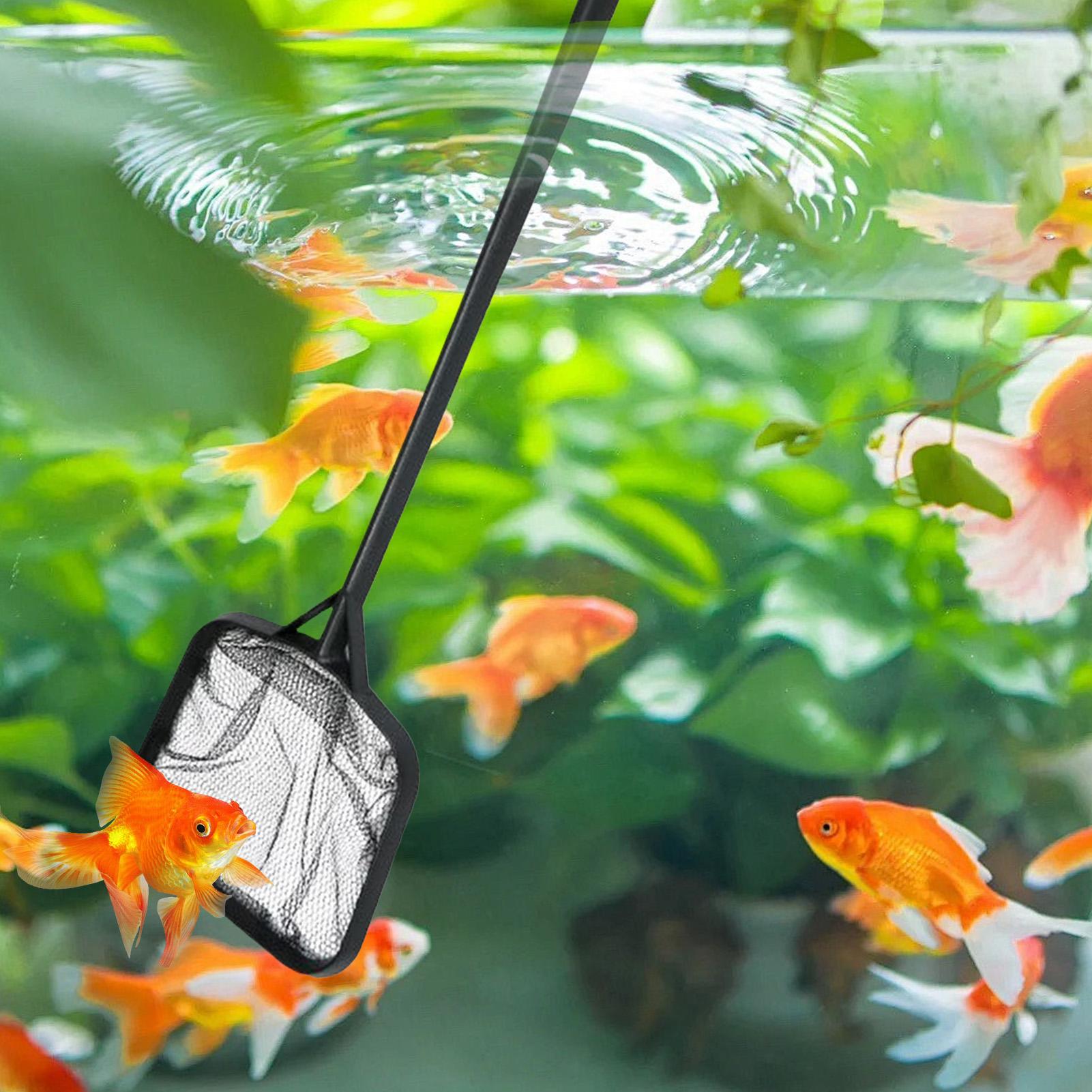 ตาข่ายทำความสะอาดสระว่ายน้ำแบบ - Aquarium Fish Buy บทวิจารณ์และราคา