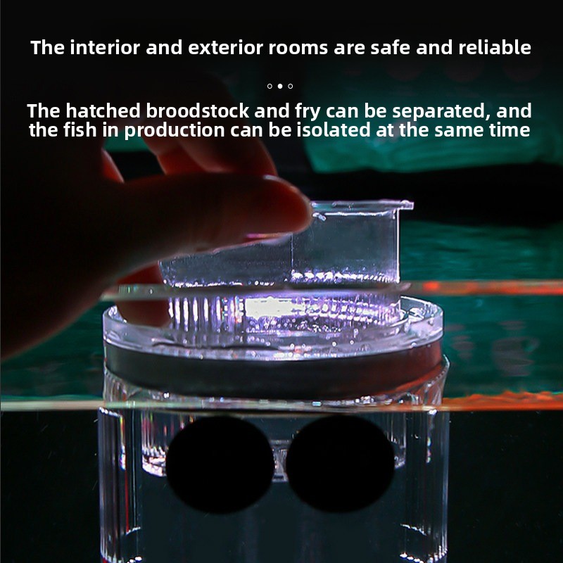 กล่องอะคริลิคสำหรับเพาะพันธุ์ป - Aquarium Fish Parrot บทวิจารณ์และราคา