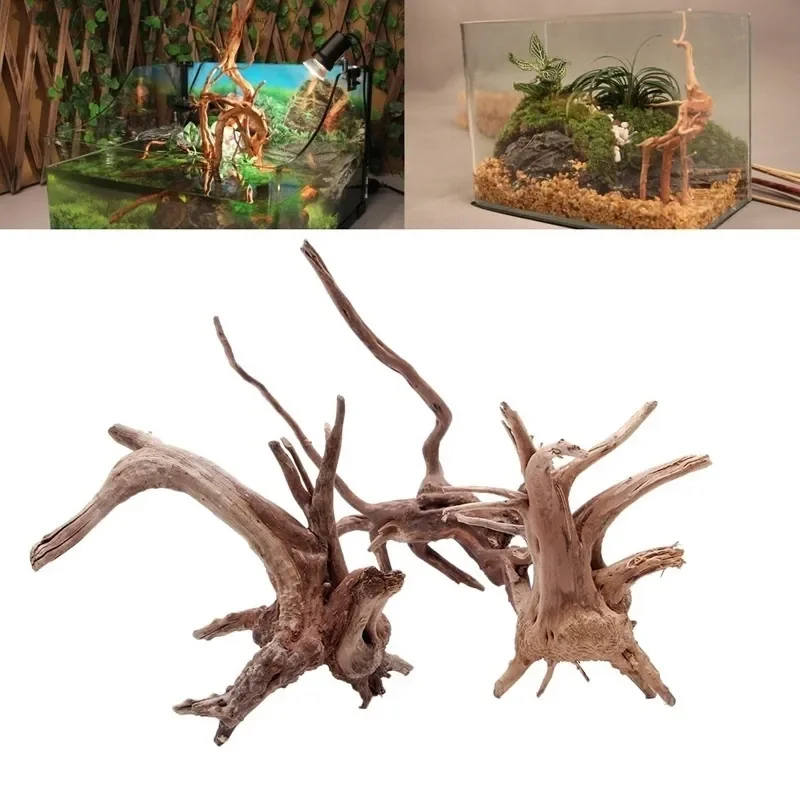 ต้นไม้ธรรมชาติลำต้นไม้ดริฟท์วู - Aquarium Fish Hiding Places บทวิจารณ์และราคา