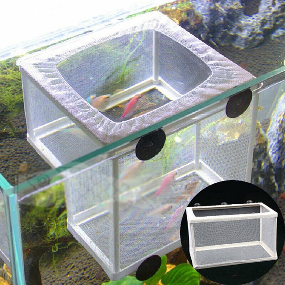 กล่องเพาะพันธุ์ปลาสำหรับตู้ปลา - Aquarium Fish Medicine บทวิจารณ์และราคา