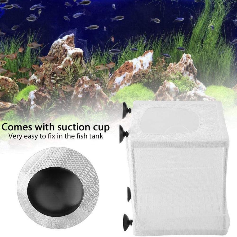 กล่องเพาะพันธุ์ปลาสำหรับตู้ปลา - Aquarium Fish Medicine บทวิจารณ์และราคา