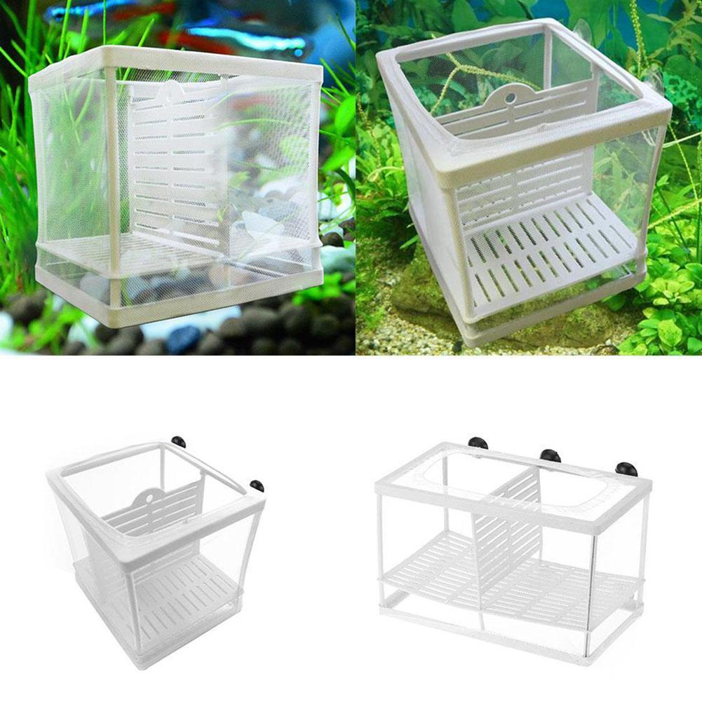 กล่องเพาะพันธุ์ปลาสำหรับตู้ปลา - Aquarium Fish Medicine บทวิจารณ์และราคา