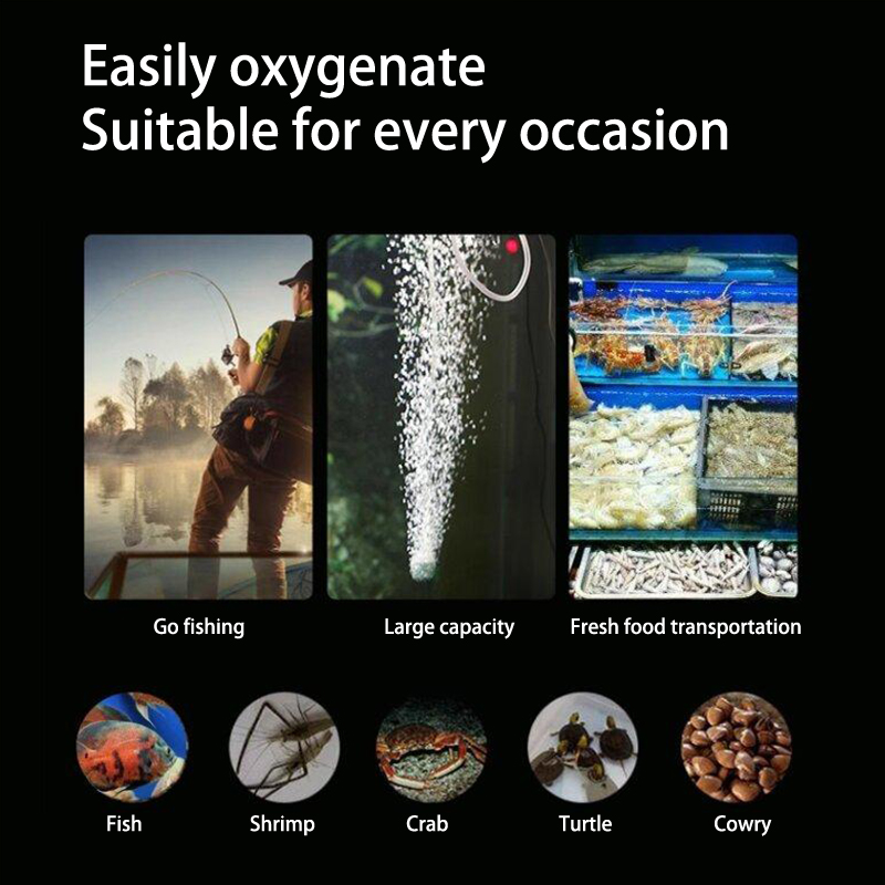 ชุดปั๊มลมตู้ปลาขนาดเล็กปั๊มออก - Aquarium Fish Small บทวิจารณ์และราคา