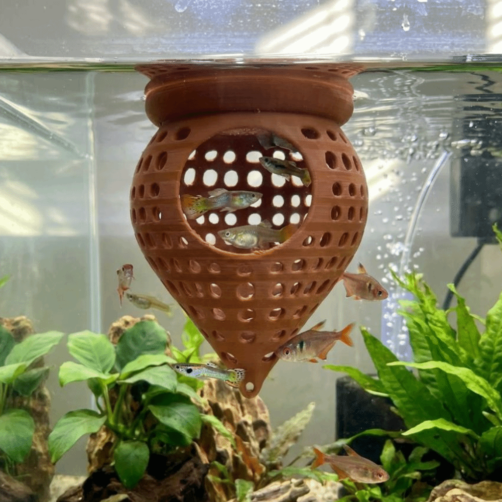 ที่นอนปลาแบบลอยน้ำพิมพ์ 3 มิติ - Aquarium Fish Hiding Places บทวิจารณ์และราคา