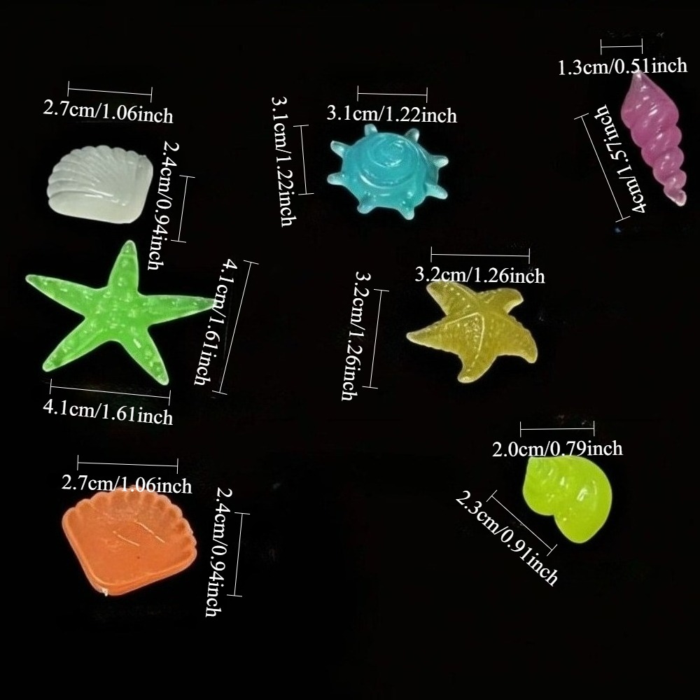 หินเรืองแสงในทะเล เปลือกหอยเรื - Aquarium Fish Buy บทวิจารณ์และราคา