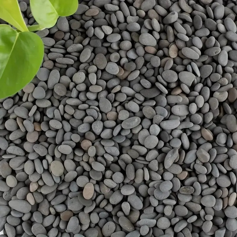 20 ชิ้นธรรมชาติ River Rocks Sm - Aquarium Decoration Rock บทวิจารณ์และราคา