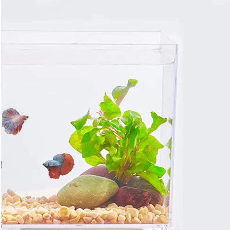 ตู้ปลาอะคริลิคใสขนาดเล็กสำหรับ - Aquarium Fish Small บทวิจารณ์และราคา