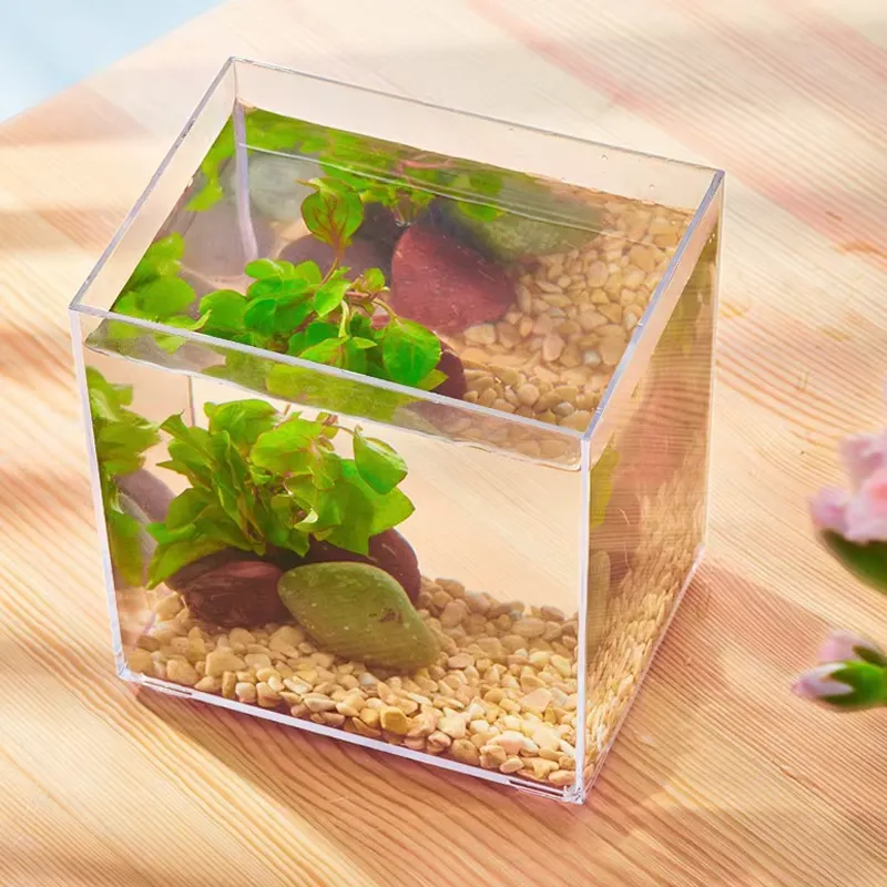 ตู้ปลาอะคริลิคใสขนาดเล็กสำหรับ - Aquarium Fish Small บทวิจารณ์และราคา