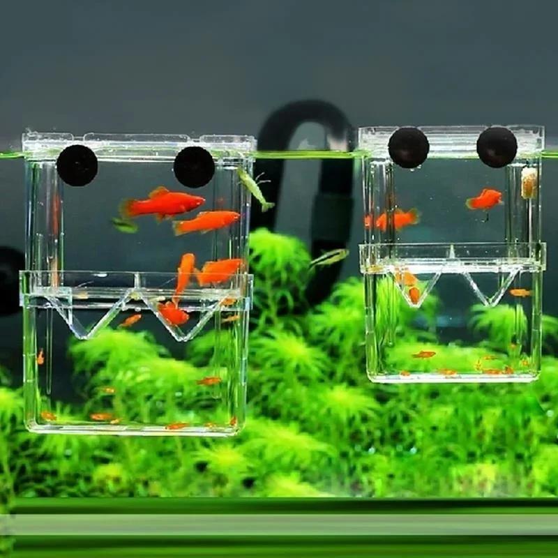 โปร่งใส Fish Aquarium High CLE - Aquarium Fish Medicine บทวิจารณ์และราคา