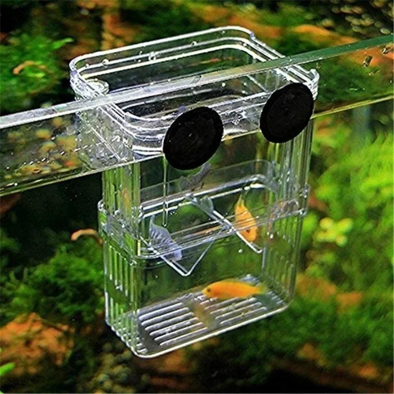 โปร่งใส Fish Aquarium High CLE - Aquarium Fish Medicine บทวิจารณ์และราคา