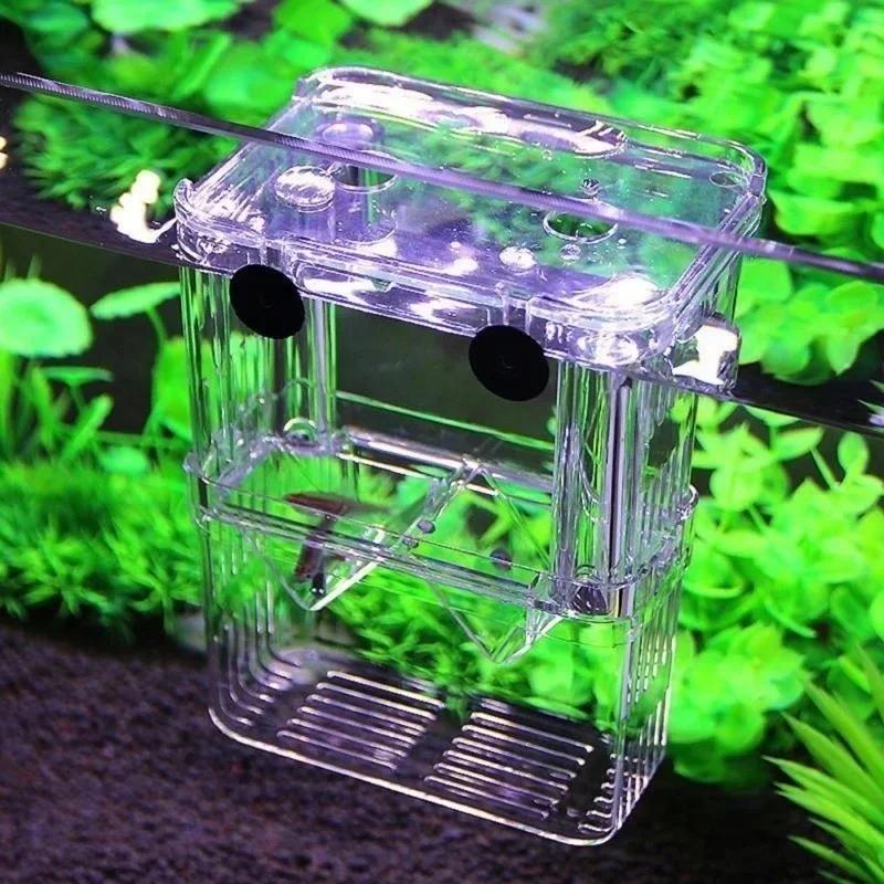 โปร่งใส Fish Aquarium High CLE - Aquarium Fish Medicine บทวิจารณ์และราคา