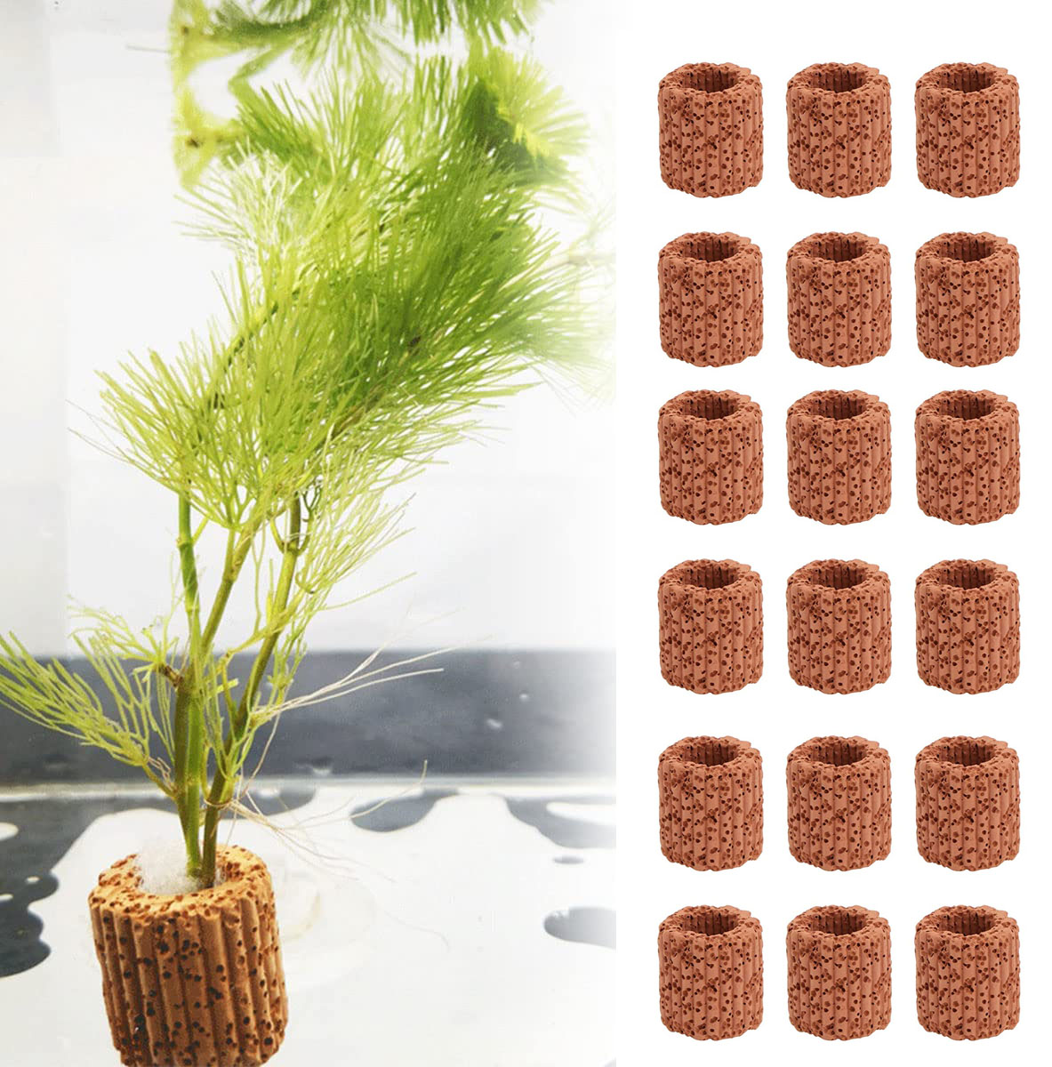 ของตกแต่งตู้ปลาแหวนกระถางต้นไม - Aquarium Fish Pot บทวิจารณ์และราคา