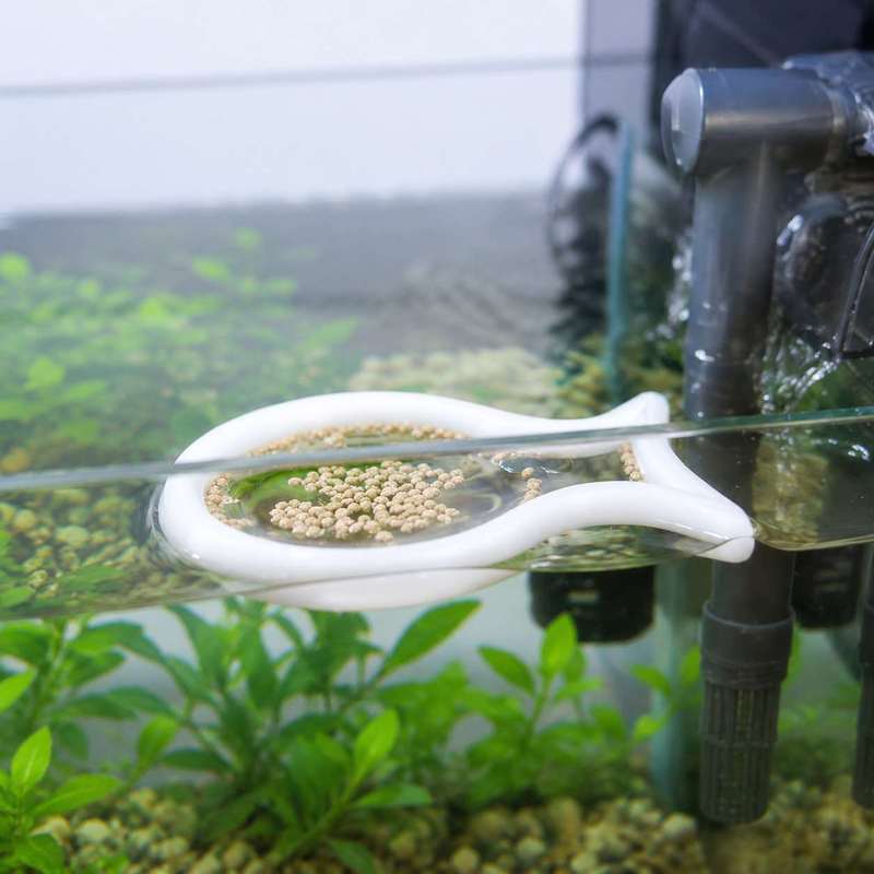 วงแหวนให้อาหารปลาแบบลอยน้ำรูปท - Aquarium Fish Medicine บทวิจารณ์และราคา