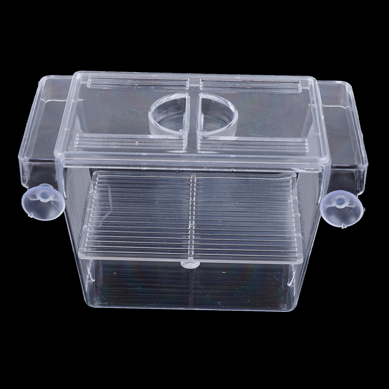 พิพิธภัณฑ์สัตว์น้ํา ตู้ปลา Gup - Aquarium Fish Medicine บทวิจารณ์และราคา