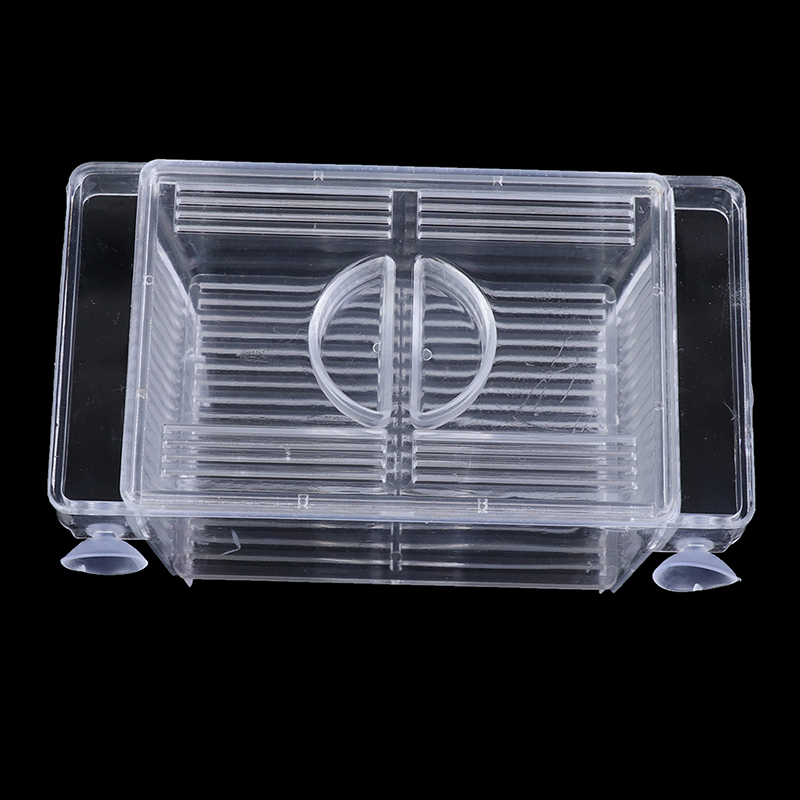 พิพิธภัณฑ์สัตว์น้ํา ตู้ปลา Gup - Aquarium Fish Medicine บทวิจารณ์และราคา