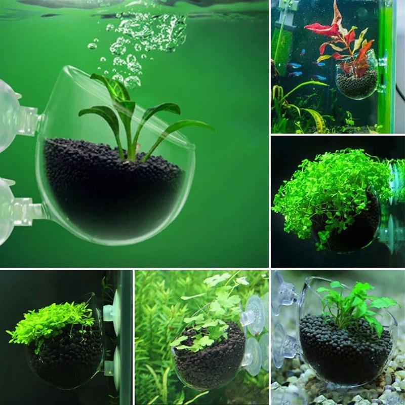 ตกแต่งตู้ปลาถ้วยหม้ออะคริลิคน้ - Aquarium Fish Pot บทวิจารณ์และราคา