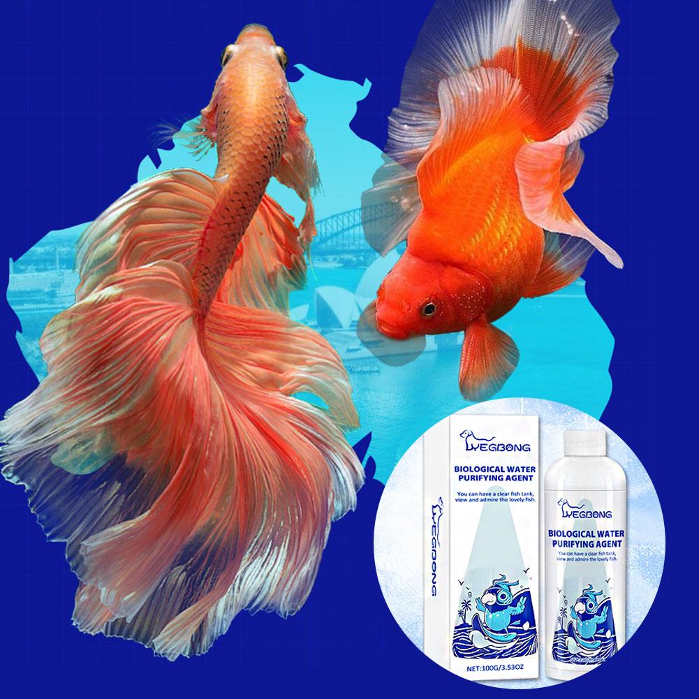 เครื่องปรับอากาศในตู้ปลา เครื่ - Aquarium Fish Medicine บทวิจารณ์และราคา