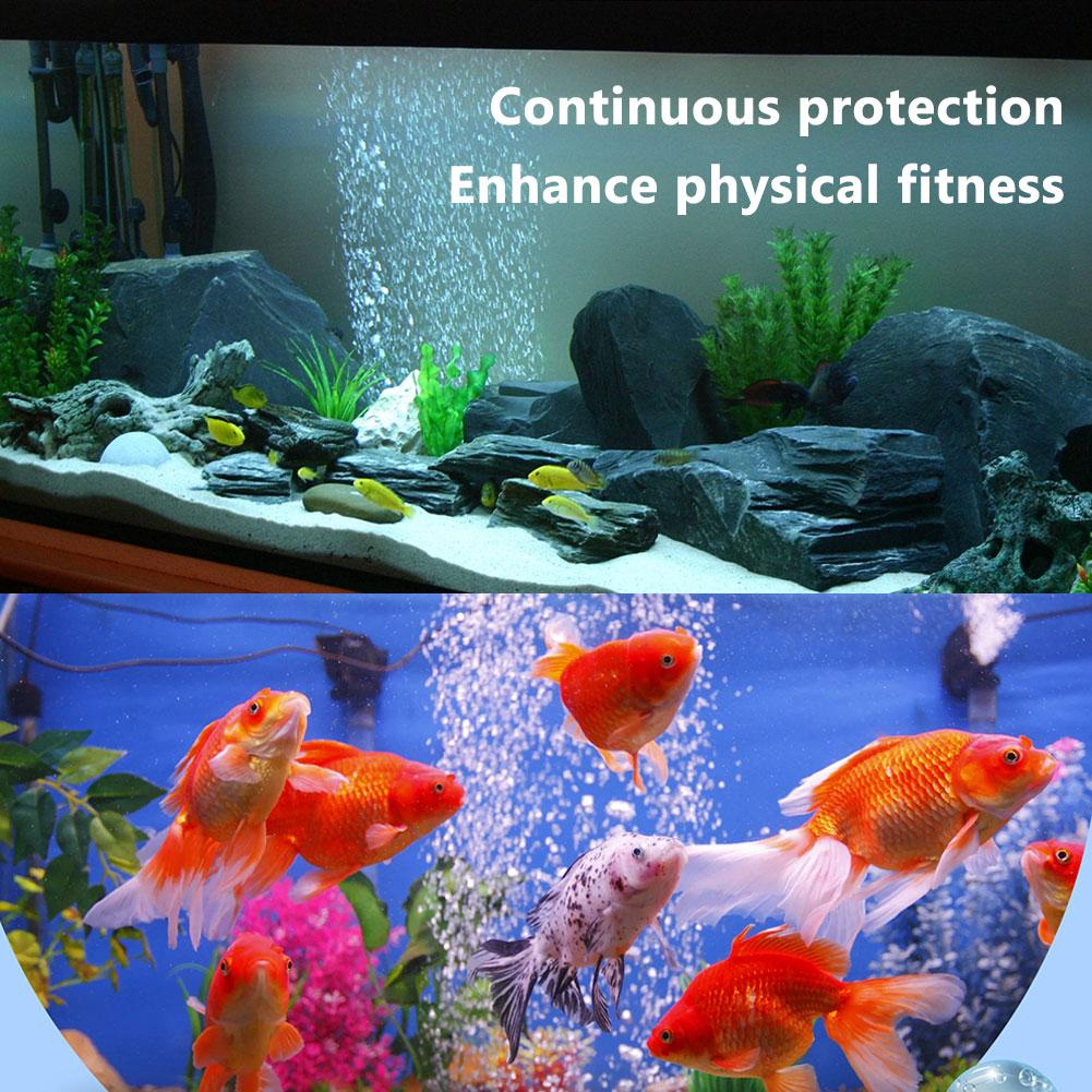 เครื่องปรับอากาศในตู้ปลา เครื่ - Aquarium Fish Medicine บทวิจารณ์และราคา