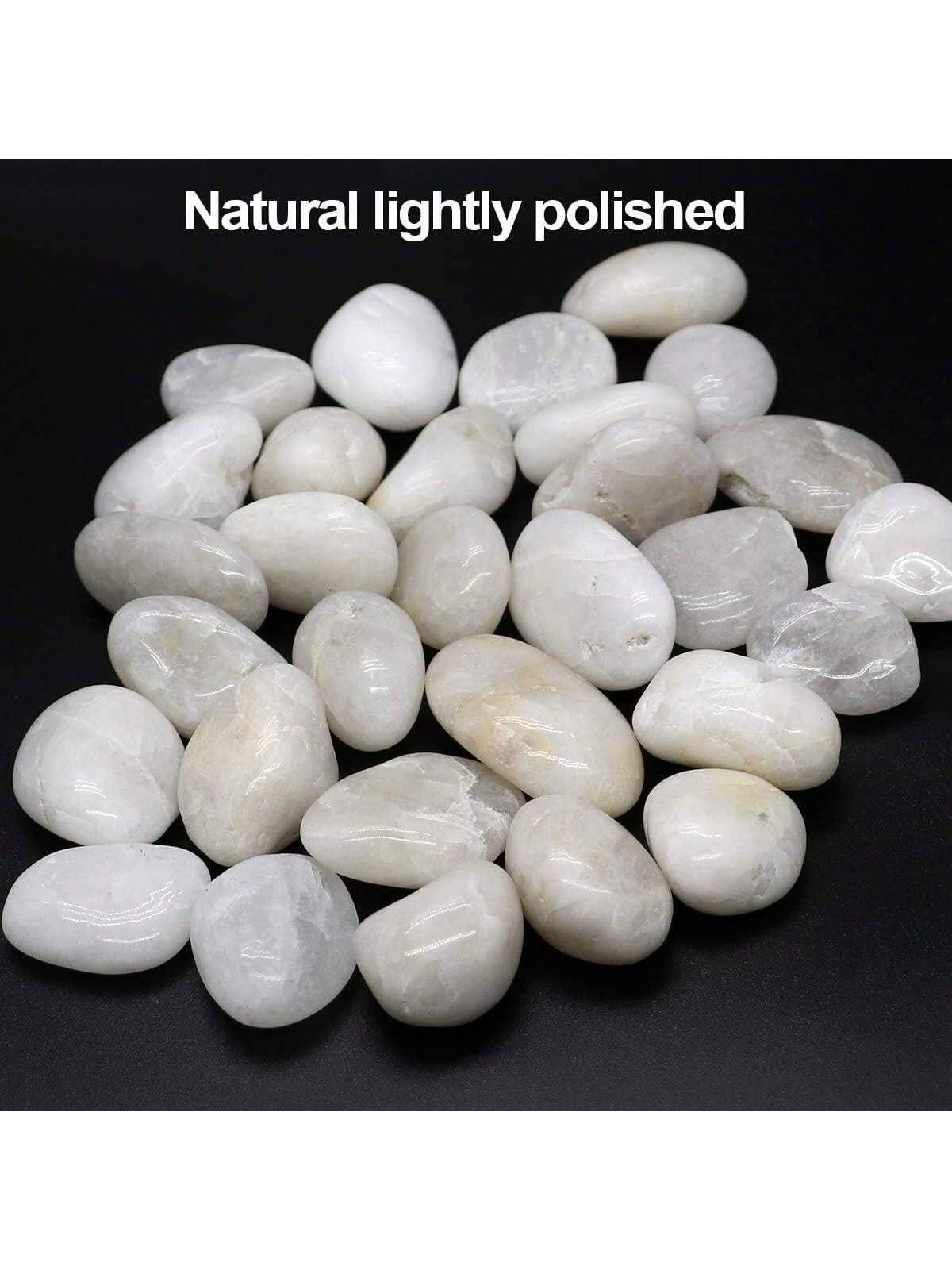 River Rocks ตกแต่งประดับสีขาว  - Aquarium Decoration Rock บทวิจารณ์และราคา
