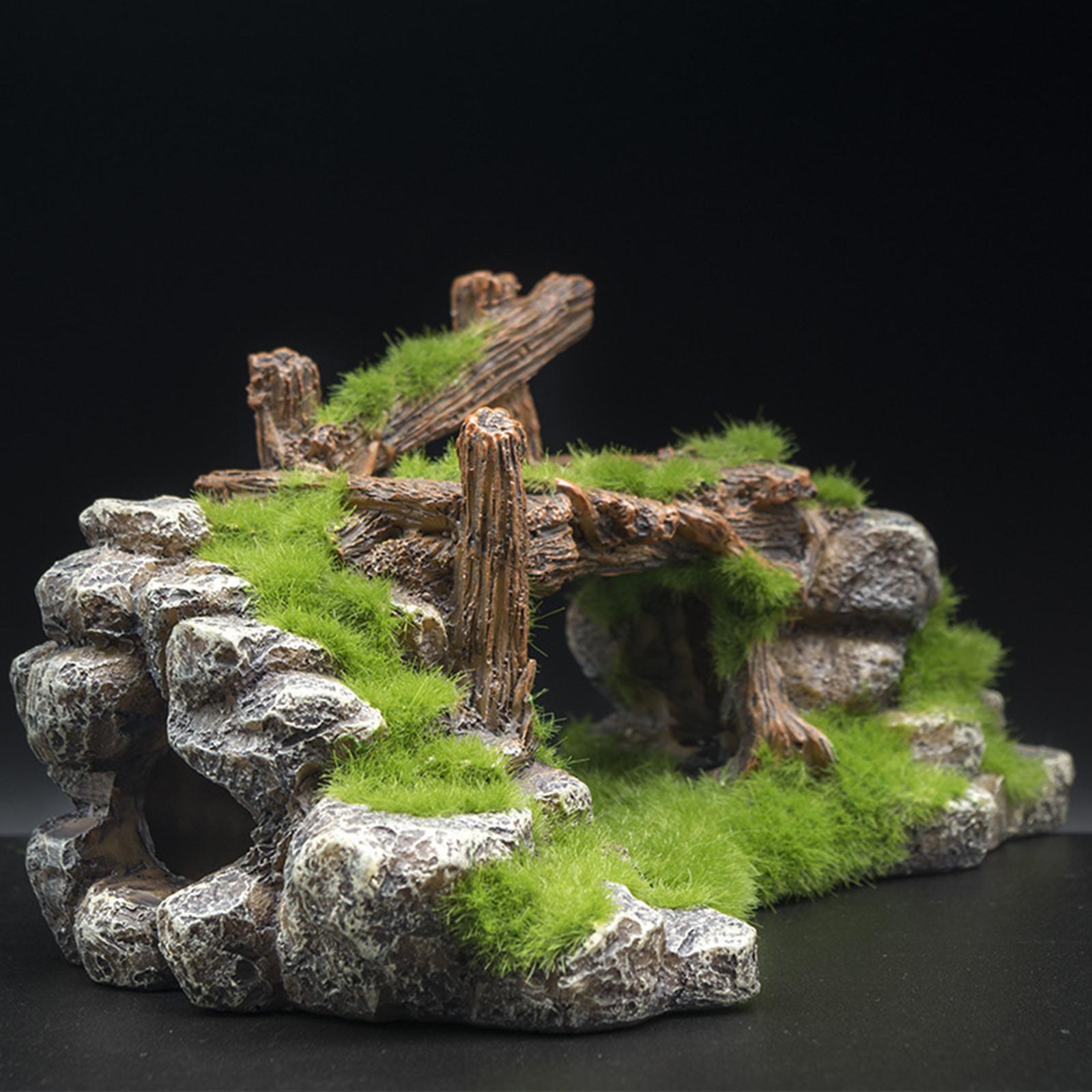 พิพิธภัณฑ์สัตว์น้ํา Rockery Hi - Aquarium Fish Bridge บทวิจารณ์และราคา