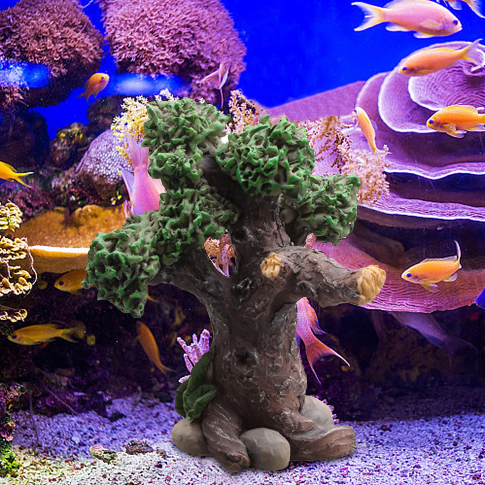 พิพิธภัณฑ์สัตว์น้ํา Rockery Hi - Aquarium Fish Bridge บทวิจารณ์และราคา