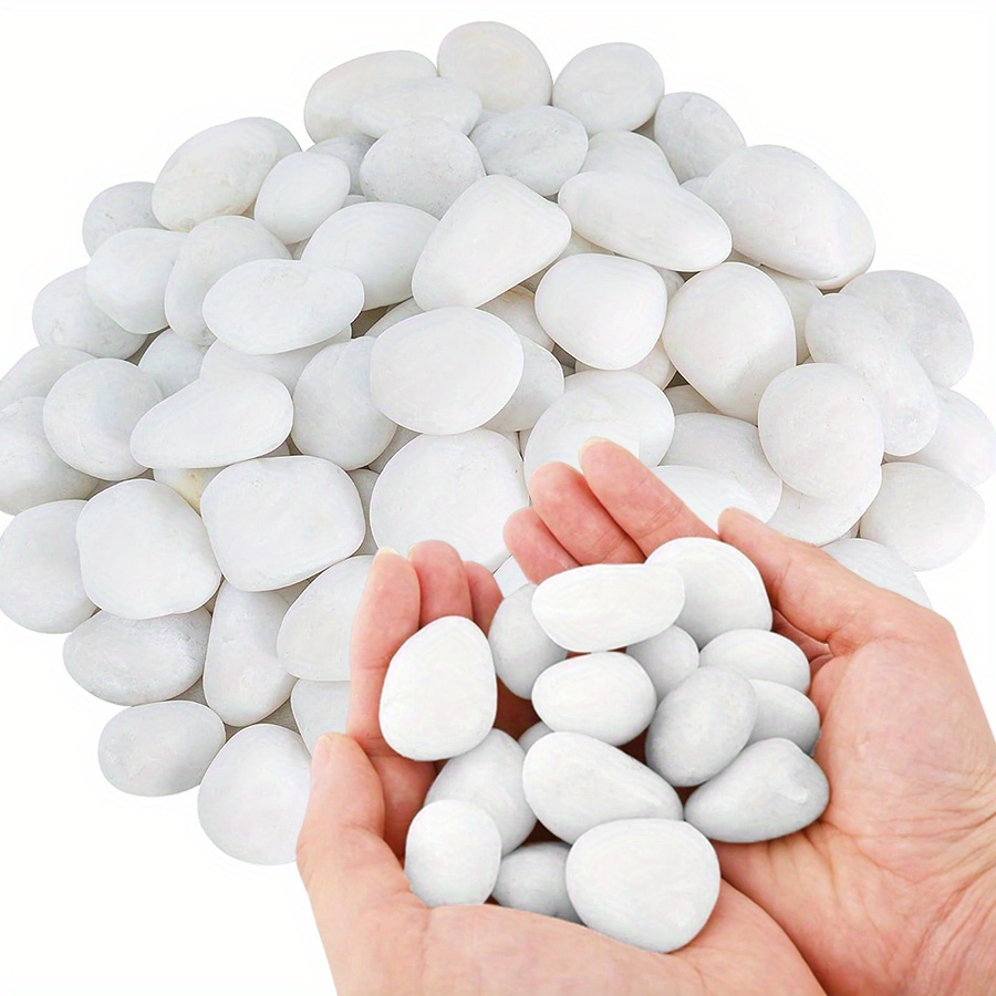 หินกรวดขัดเงาสีขาวธรรมชาติ ขนา - Aquarium Fish Buy บทวิจารณ์และราคา