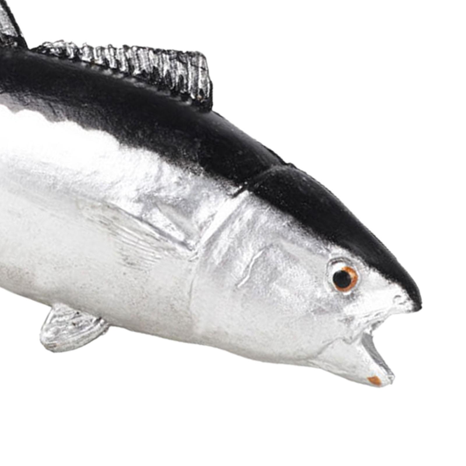ตกแต่งตู้ปลา ของตกแต่งบนโต๊ะทำ - Aquarium Fish Small บทวิจารณ์และราคา