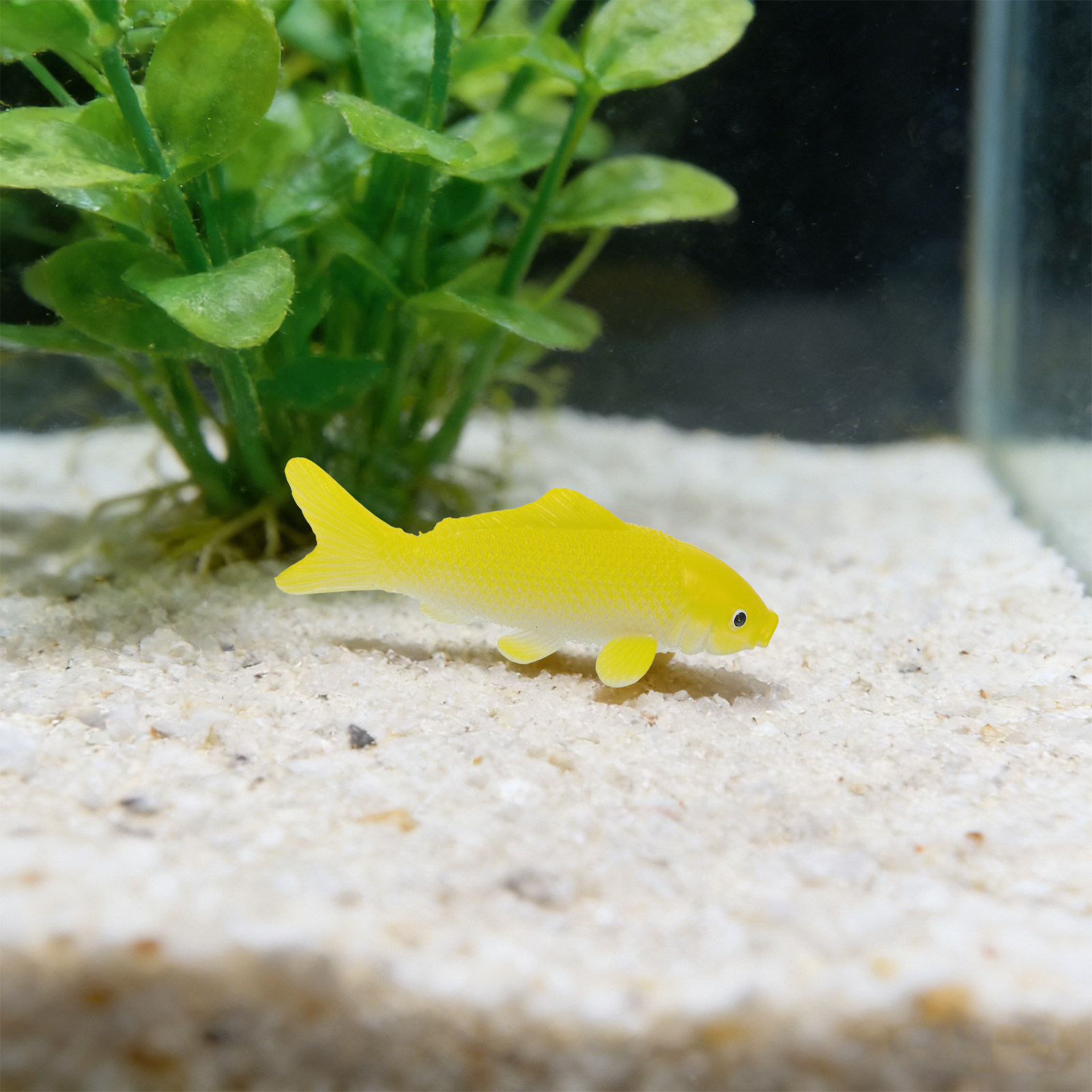 ของเล่นปลาประดิษฐ์ 3 ชิ้น รูปป - Aquarium Fish In Pond บทวิจารณ์และราคา
