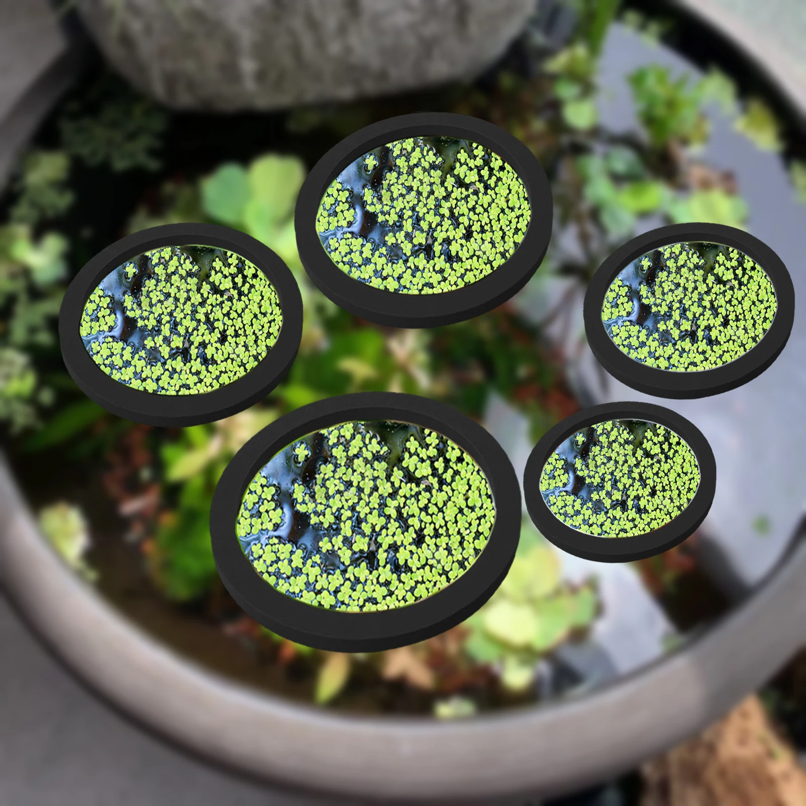 5 ชิ้น EVA ปลา Feeding แหวน Aq - Aquarium Fish In Pond บทวิจารณ์และราคา
