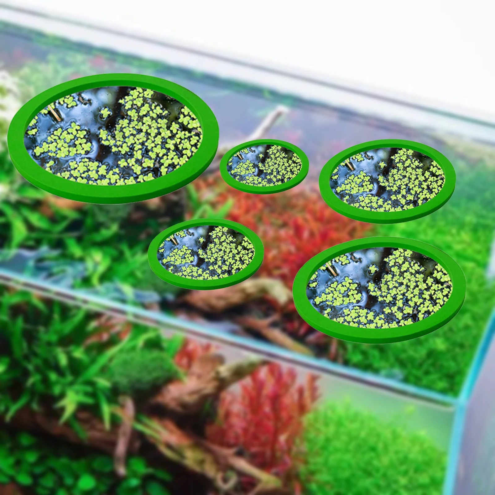 5 ชิ้น EVA ปลา Feeding แหวน Aq - Aquarium Fish In Pond บทวิจารณ์และราคา