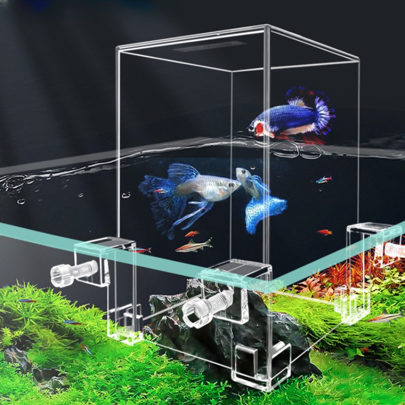 ตู้ปลาขนาดเล็กสำหรับตกแต่งตู้ป - Aquarium Fish Pot บทวิจารณ์และราคา