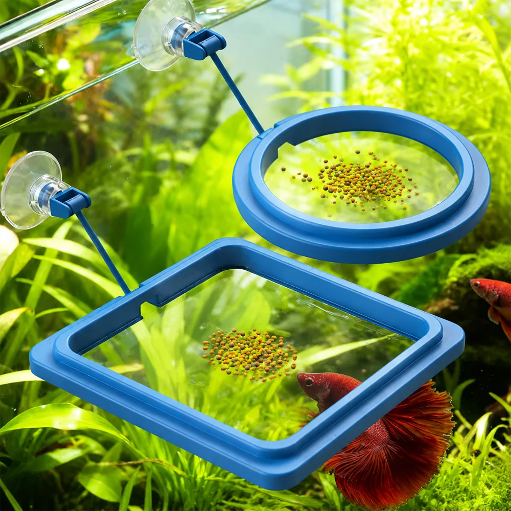 อาหารปลาเบต้าแบบเม็ดลอยน้ำขนาด - Aquarium Fish Medicine บทวิจารณ์และราคา