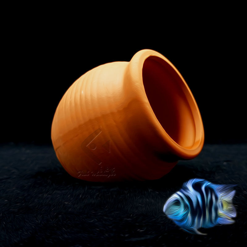 Aquarium Mini เซรามิคถังปลากุ้ - Aquarium Fish Hiding Places บทวิจารณ์และราคา