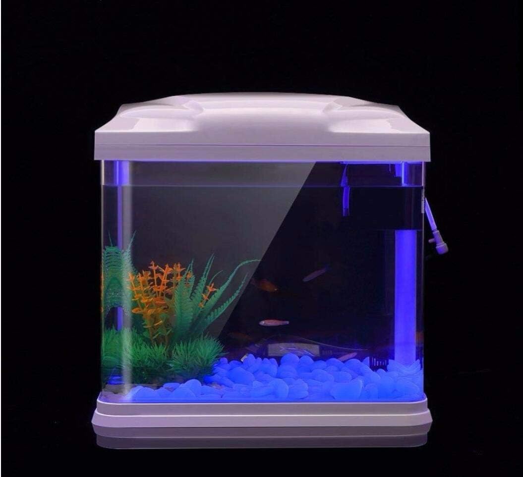 ถังปลา Rocks Glow Blue Pebbles - Aquarium Fish Buy บทวิจารณ์และราคา