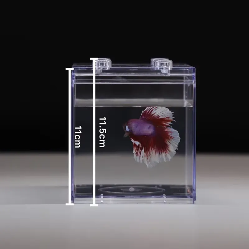 ตู้ปลาขนาดเล็ก Relaxlines พร้อ - Aquarium Fish Small บทวิจารณ์และราคา