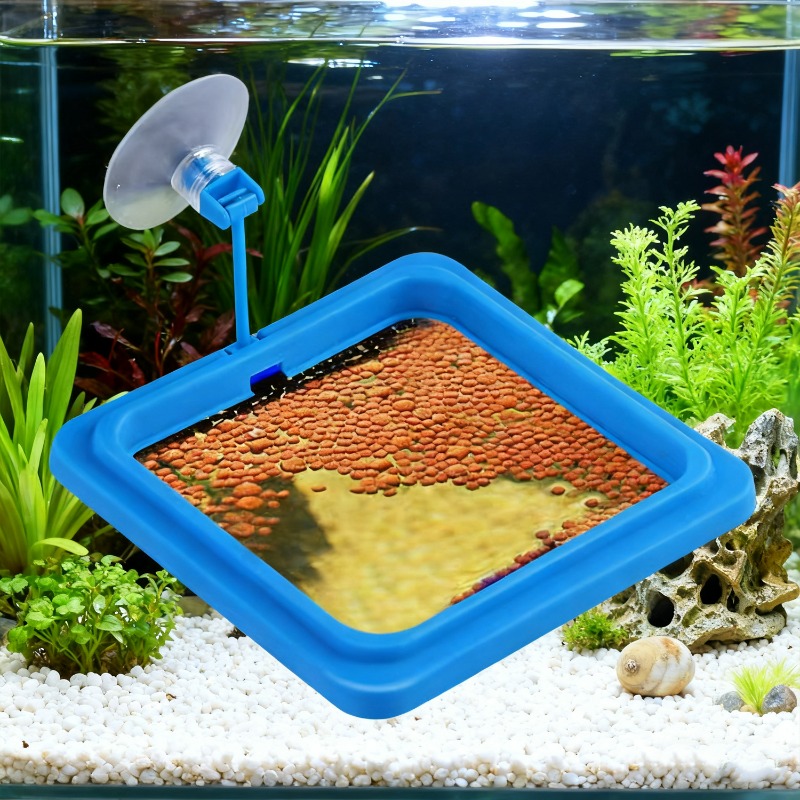 ถาดให้อาหารปลาตู้ปลาแบบลอยน้ำ  - Aquarium Fish Medicine บทวิจารณ์และราคา
