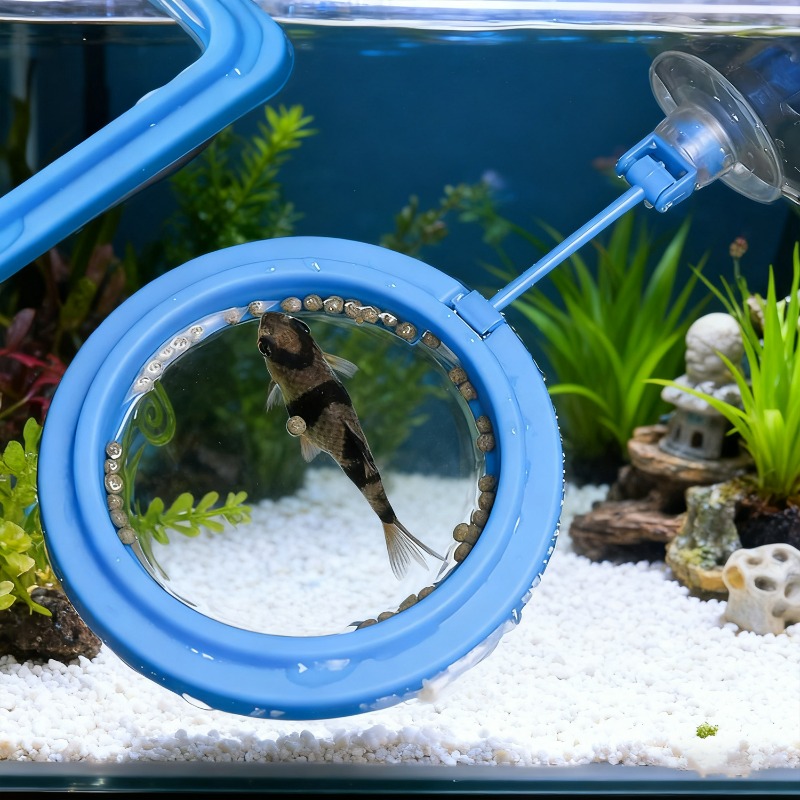 ถาดให้อาหารปลาตู้ปลาแบบลอยน้ำ  - Aquarium Fish Medicine บทวิจารณ์และราคา