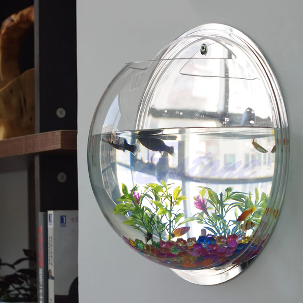 หม้อแขวนผนัง Mount Bubble Aqua - Aquarium Fish Pot บทวิจารณ์และราคา