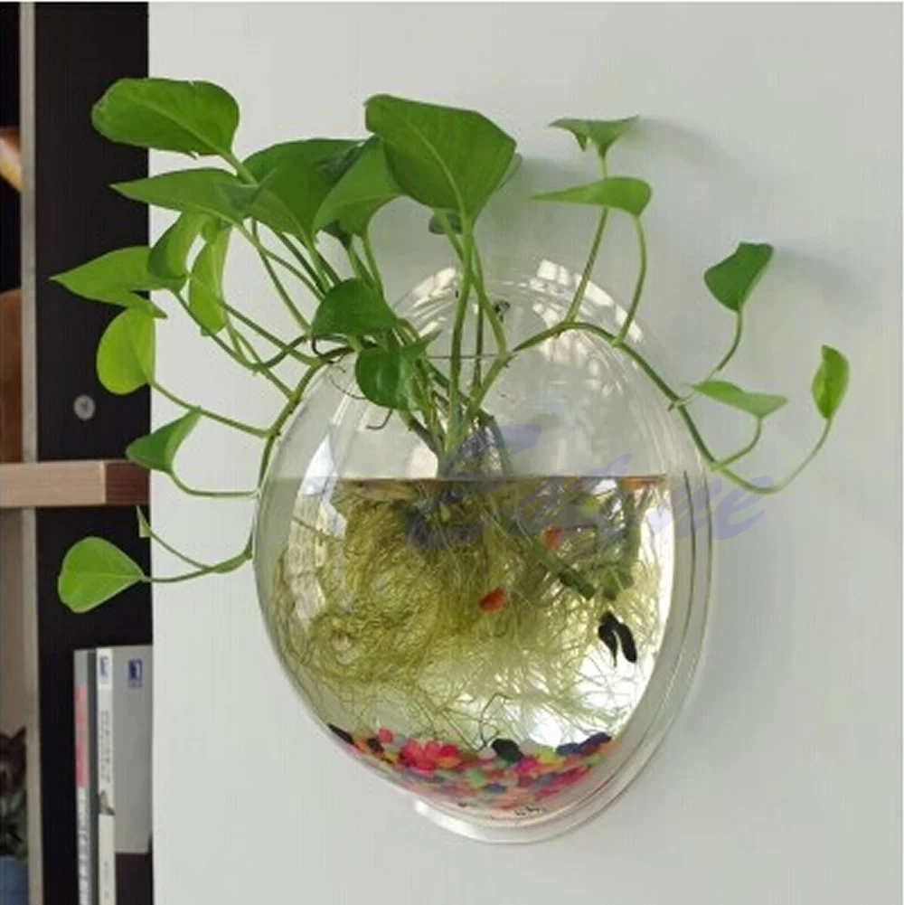 หม้อแขวนผนัง Mount Bubble Aqua - Aquarium Fish Pot บทวิจารณ์และราคา