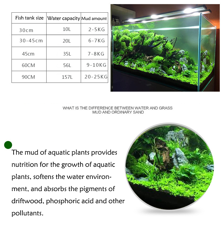 พิพิธภัณฑ์สัตว์น้ำเมล็ดพืชดิน  - Aquarium Fish Buy บทวิจารณ์และราคา