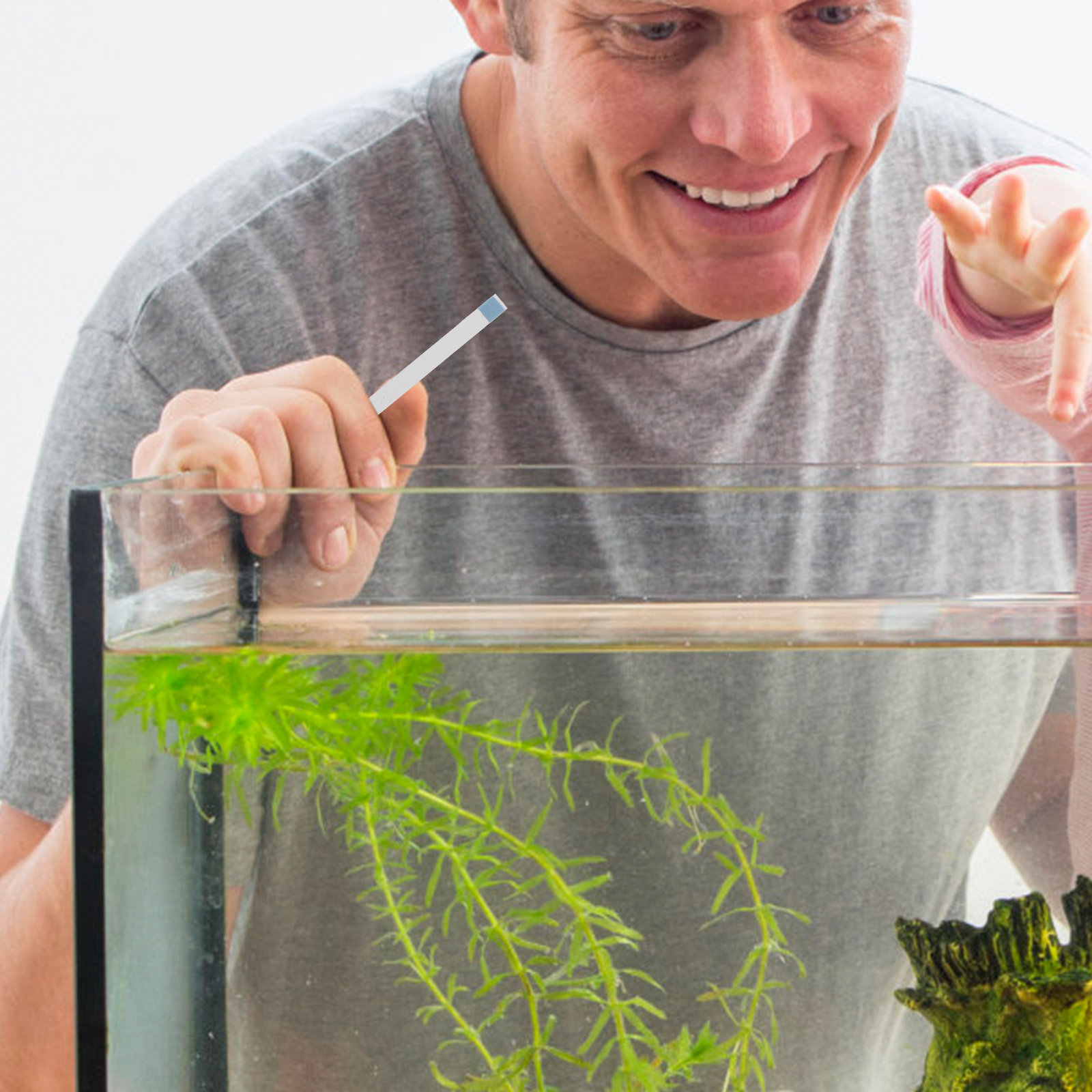 แถบทดสอบคุณภาพน้ำสำหรับสระว่าย - Aquarium Fish In Pond บทวิจารณ์และราคา